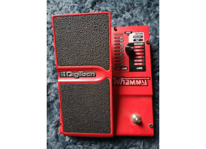 243273494_448087463243545_5157261610954336307_n