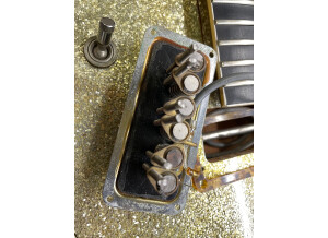 Gretsch G6129-1957 Silver Jet (78389)