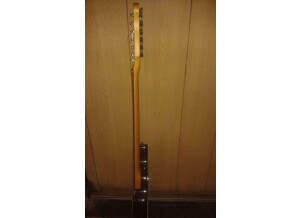 Godin Session (92063)