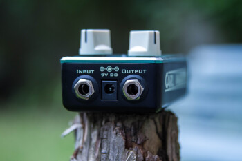 SurfTrem-6 SurfTrem-6