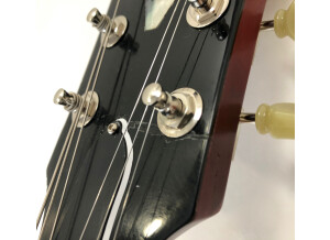 Gibson ES-335 Dot Figured Gloss (20629)