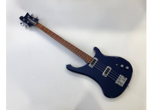 Rickenbacker 4004 (16339)
