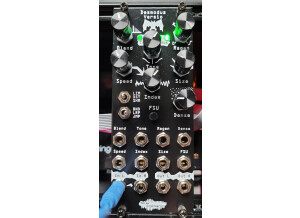 Noise Engineering Desmodus Versio (22839)