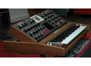 Moog Music Minimoog Voyager (20577)