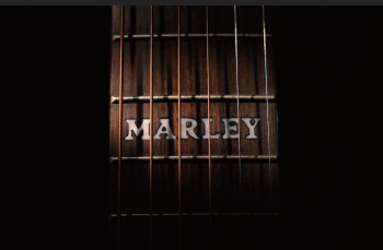 marleyinlay marleyinlay