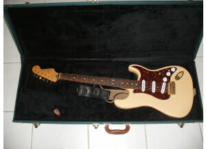 Fender Stratocaster Deluxe Player Mex Maple honey Blonde