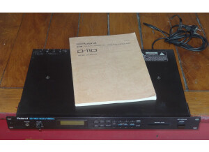 Roland D-110 (68847)