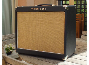 Tech 21 Trademark 60 1x12 (80775)