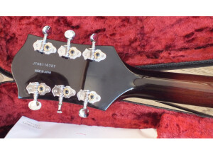 Gretsch G6119-1962 Tennessee Rose (72414)