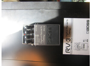 Boss RV-3 Digital Reverb/Delay (59686)