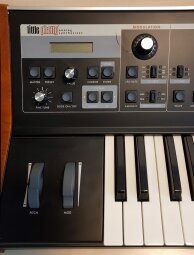 LP face left LP face left