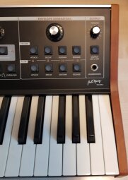 LP face right LP face right