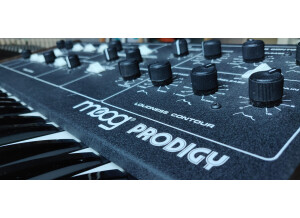 Moog Music Prodigy (39626)