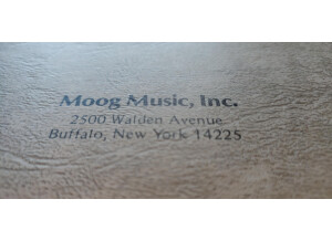 Moog Music Prodigy (96945)