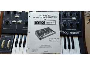 Moog Music Prodigy (59406)