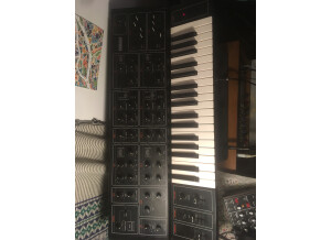Moog Music Subsequent 25 (69464)
