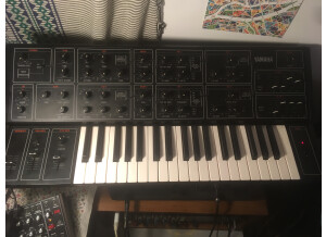 Moog Music Subsequent 25 (39262)