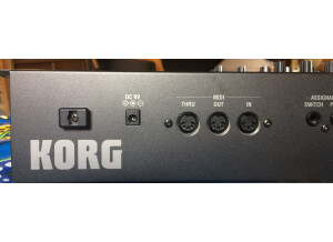 MS2000BR rear 1