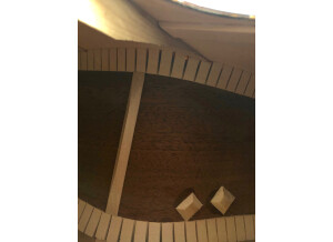 Santa Cruz Custom H/13 "Cowboy Poet Deluxe" (88903)