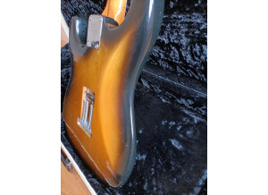 Fender Eric Johnson Stratocaster Maple (79862)