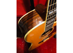 Gibson Songwriter Deluxe Studio EC (14362)