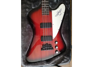 Epiphone Thunderbird Classic-IV Pro (11609)