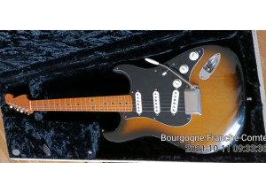 Fender Eric Johnson Stratocaster Maple (11292)