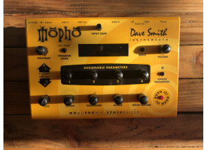 Dave Smith Instruments Mopho (66143)