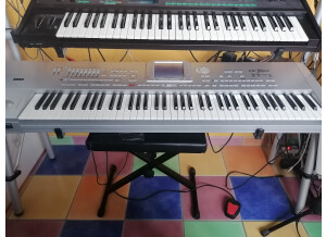 Korg Pa1XPro (12613)