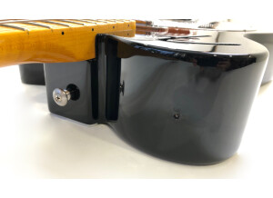Fender Reso-Tele (17615)