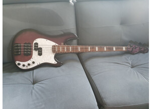 Sandberg (Bass) California VM 4 (93327)