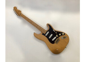 Fender Player Stratocaster (56935)