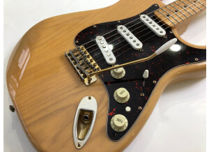 Fender Player Stratocaster (96624)