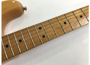 Fender Player Stratocaster (15315)