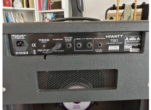 Hiwatt T20 (13222)