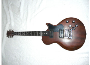 Gibson The Paul (67880)