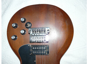 Gibson The Paul (42329)