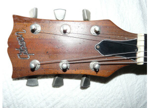 Gibson The Paul (56655)