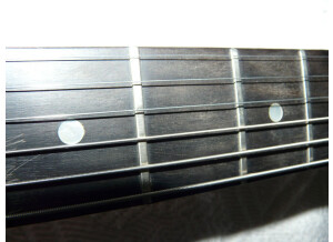 Gibson The Paul (99630)