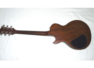 Gibson The Paul (85810)