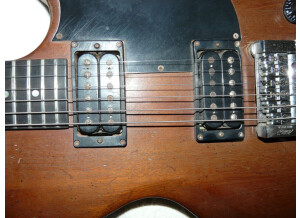 Gibson The Paul (74496)