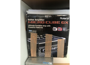 Roland Micro Cube GX (90924)