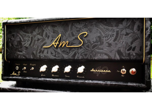 AMS Hand Built Tube Amplifiers Hurricane 40 (18686)