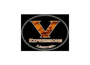 Roland v expression (98313)