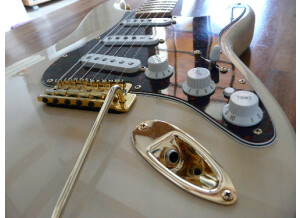 Fender Deluxe Series - Deluxe Players Strat
