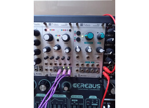Mutable Instruments Tides (72631)