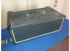 Vox ac100 (1)