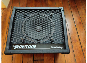 Polytone Mega-Brute Façade light