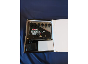 Pédale EHX Deluxe Memory Man (1)