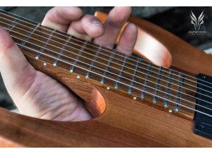 Hufschmid Guitars Tantalum 7 String Baritone